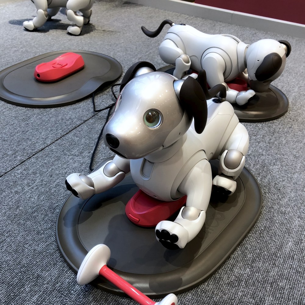 Sony aibo ERS-1000（Sony (索尼)）产品图